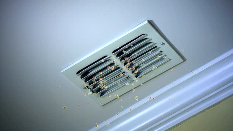 Best HVAC Duct Inspection Services  in Crystal City, MO